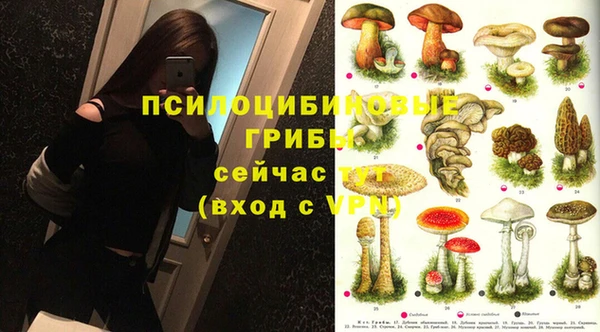 гашик Инсар