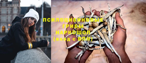 амф Алексеевка